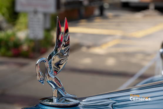 1937 Packard Swan hood ornament