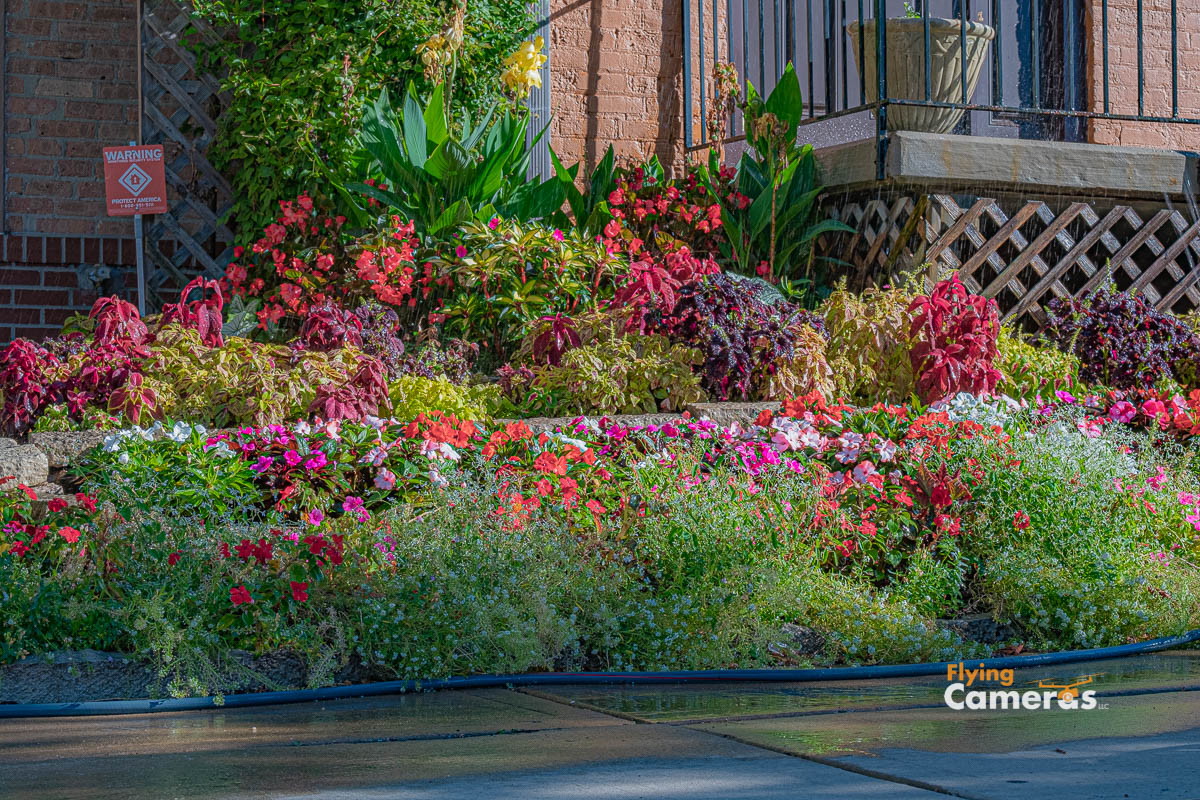 Colorful landscape display of many varieties of annual flowers in Downers Grove