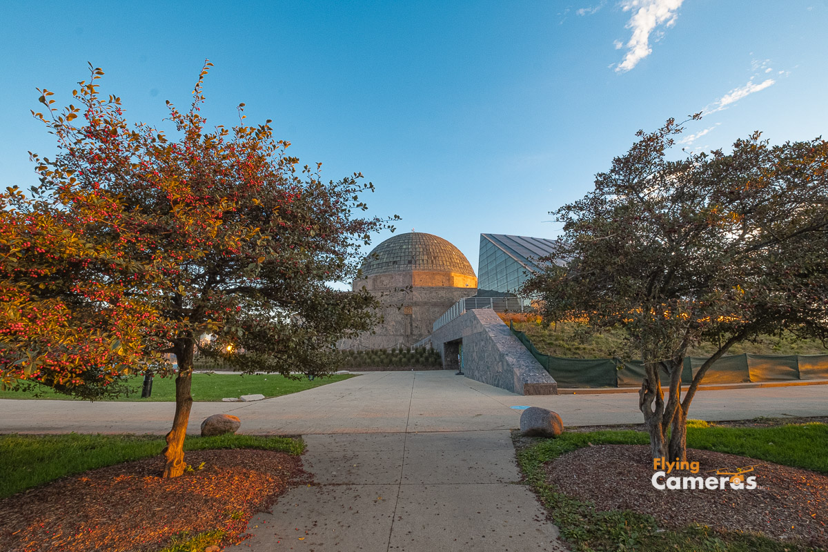 Adler Planetarium dome between two trees in the garden landscape