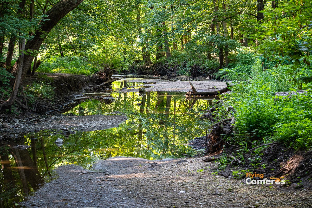 Landscape reflected in St Joseph creek bed in Maple Grove forest preserve Downers Grove